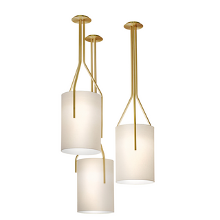 Arborescence Pendant Light By CVL