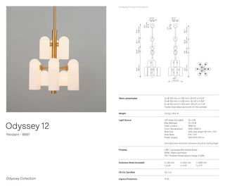 Odyssey 12 Pendant Light by Schwung